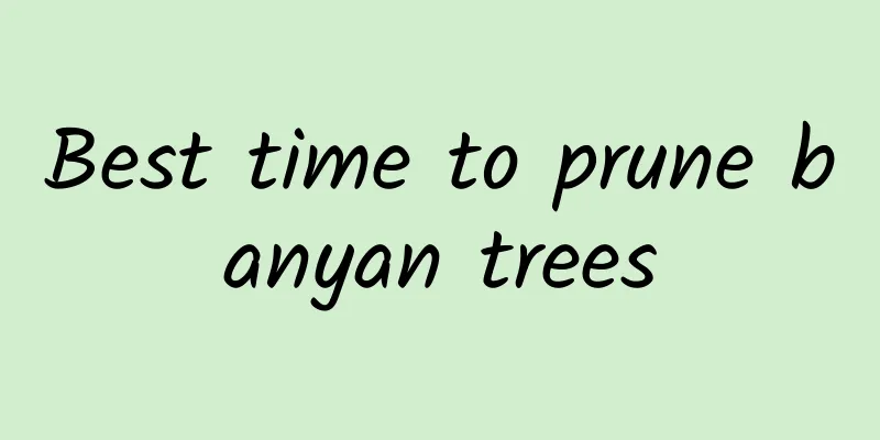 Best time to prune banyan trees