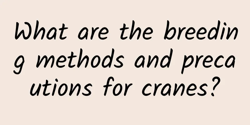 What are the breeding methods and precautions for cranes?