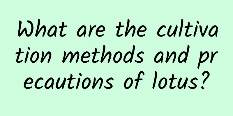 What are the cultivation methods and precautions of lotus?