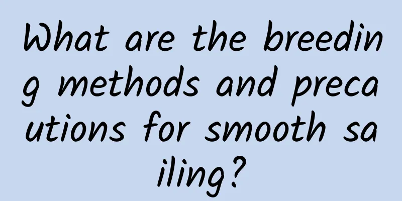 What are the breeding methods and precautions for smooth sailing?