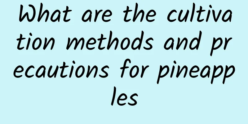 What are the cultivation methods and precautions for pineapples