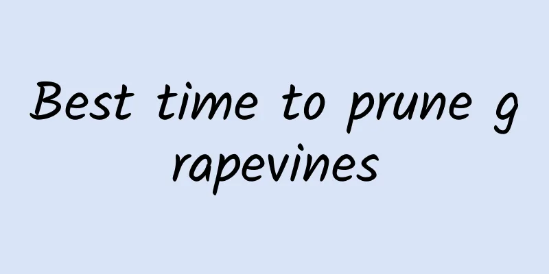 Best time to prune grapevines