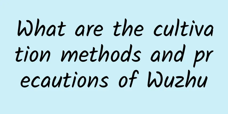What are the cultivation methods and precautions of Wuzhu