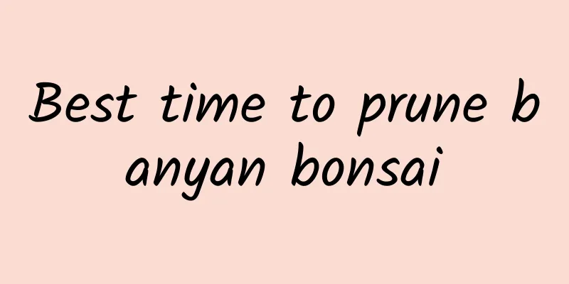 Best time to prune banyan bonsai