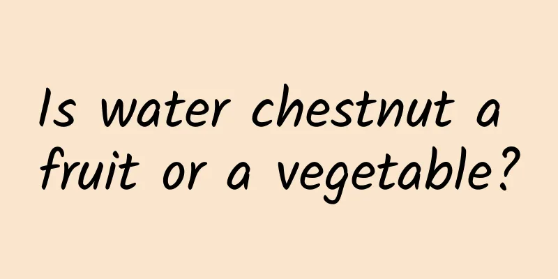 Is water chestnut a fruit or a vegetable?