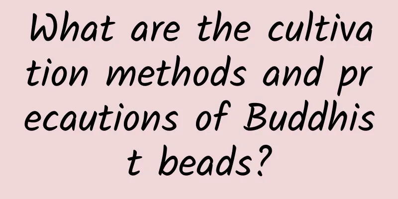 What are the cultivation methods and precautions of Buddhist beads?