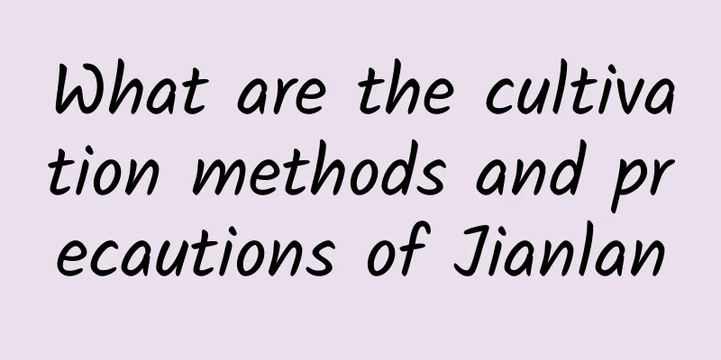 What are the cultivation methods and precautions of Jianlan