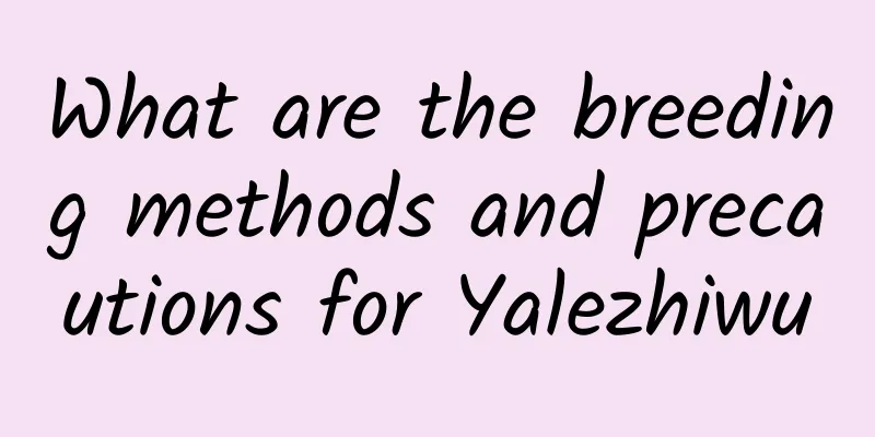 What are the breeding methods and precautions for Yalezhiwu