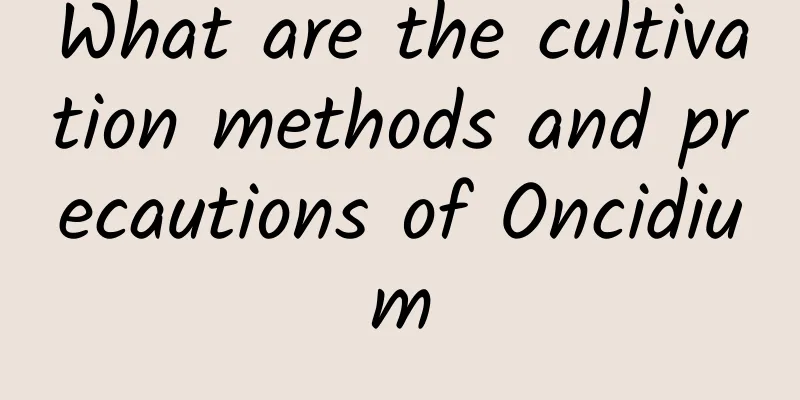 What are the cultivation methods and precautions of Oncidium