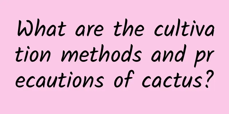 What are the cultivation methods and precautions of cactus?