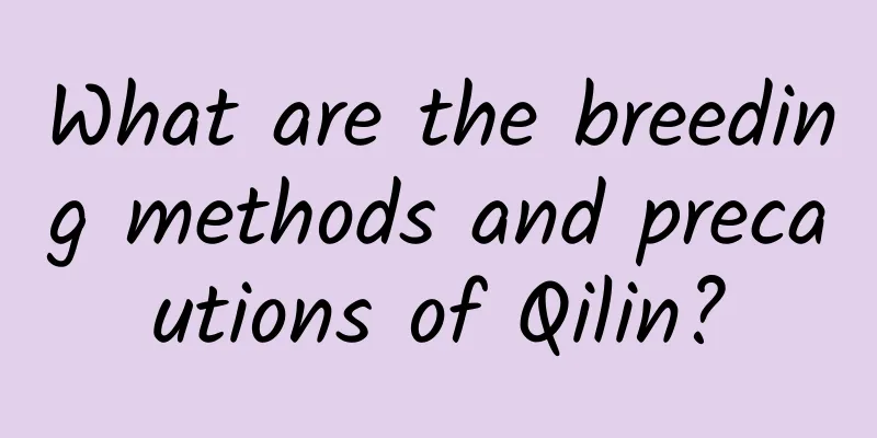 What are the breeding methods and precautions of Qilin?