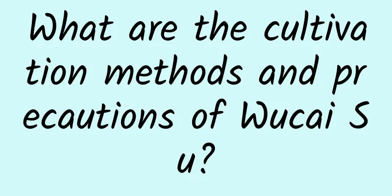 What are the cultivation methods and precautions of Wucai Su?