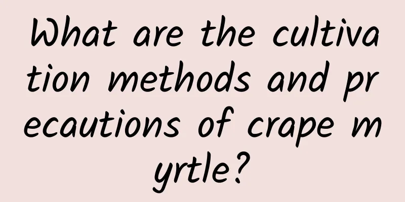 What are the cultivation methods and precautions of crape myrtle?