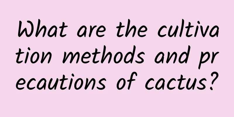 What are the cultivation methods and precautions of cactus?