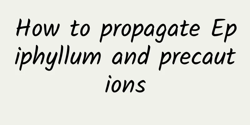 How to propagate Epiphyllum and precautions