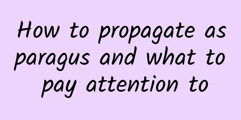 How to propagate asparagus and what to pay attention to