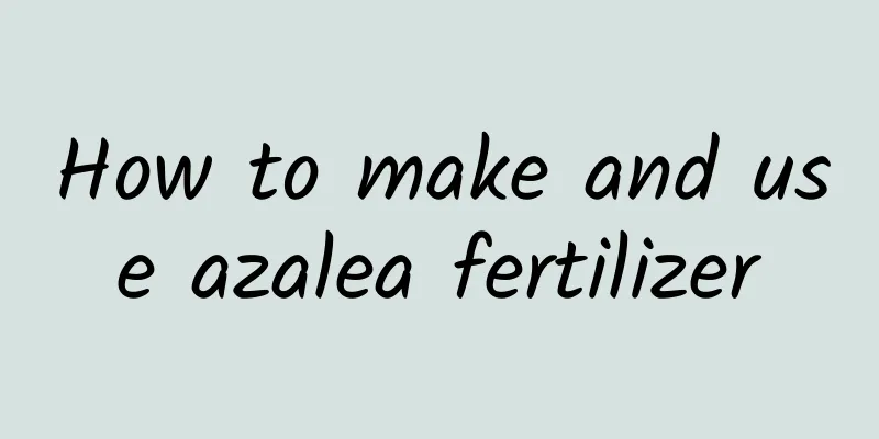 How to make and use azalea fertilizer