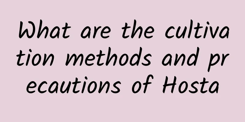 What are the cultivation methods and precautions of Hosta