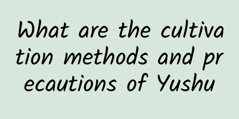 What are the cultivation methods and precautions of Yushu