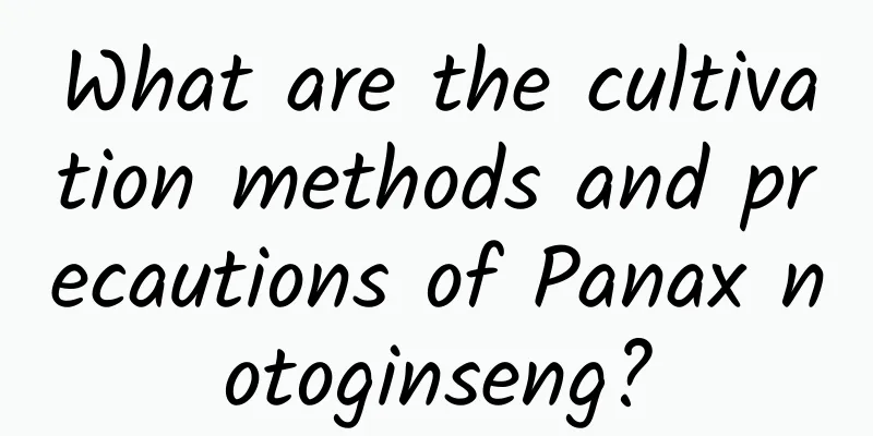 What are the cultivation methods and precautions of Panax notoginseng?