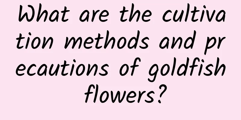 What are the cultivation methods and precautions of goldfish flowers?