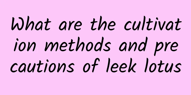 What are the cultivation methods and precautions of leek lotus