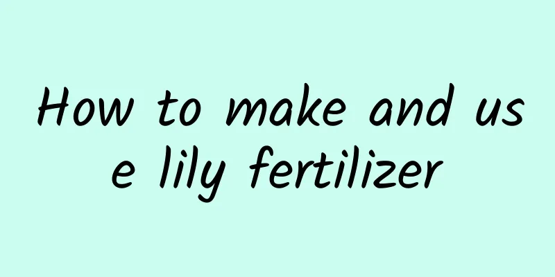 How to make and use lily fertilizer