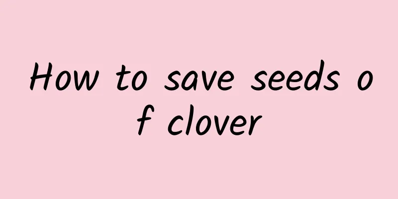 How to save seeds of clover