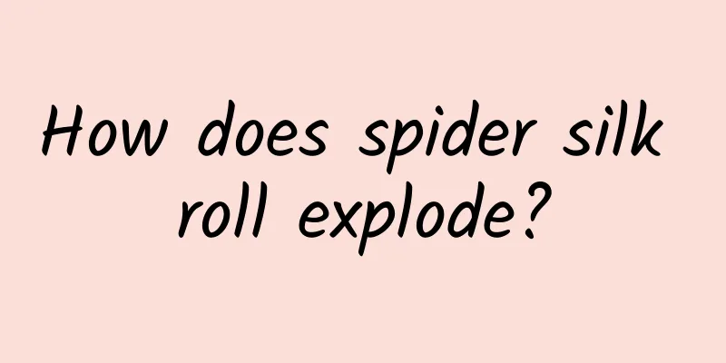 How does spider silk roll explode?