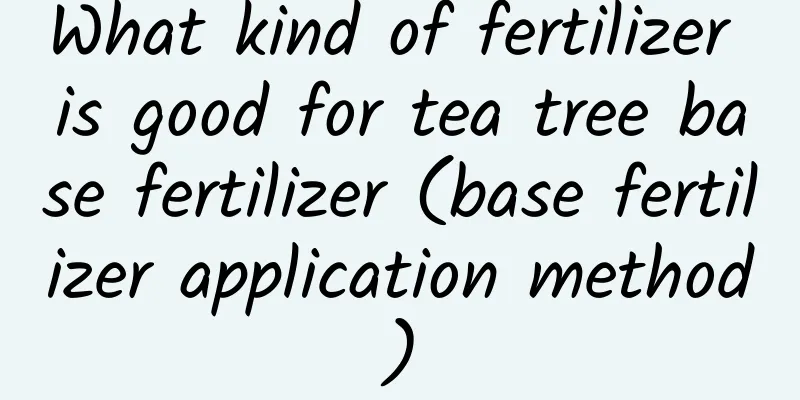 What kind of fertilizer is good for tea tree base fertilizer (base fertilizer application method)