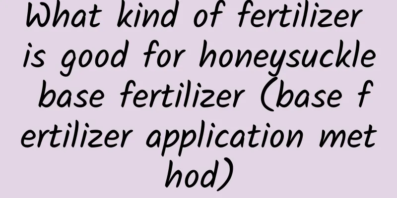 What kind of fertilizer is good for honeysuckle base fertilizer (base fertilizer application method)