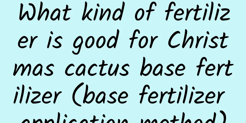 What kind of fertilizer is good for Christmas cactus base fertilizer (base fertilizer application method)