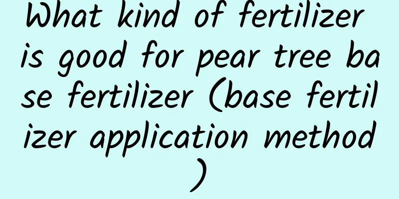 What kind of fertilizer is good for pear tree base fertilizer (base fertilizer application method)