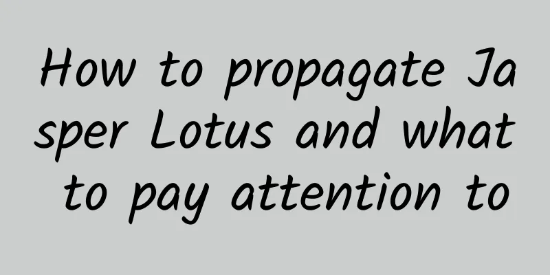 How to propagate Jasper Lotus and what to pay attention to