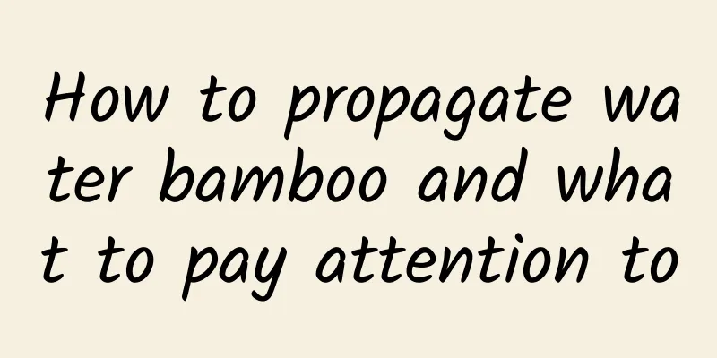 How to propagate water bamboo and what to pay attention to
