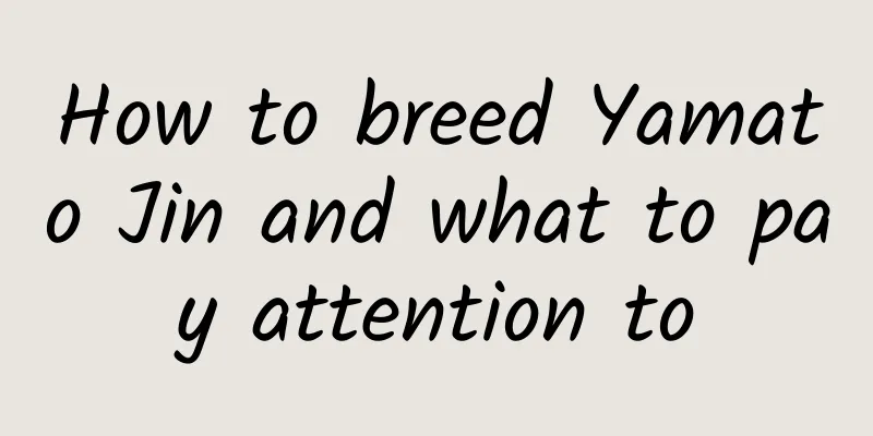 How to breed Yamato Jin and what to pay attention to
