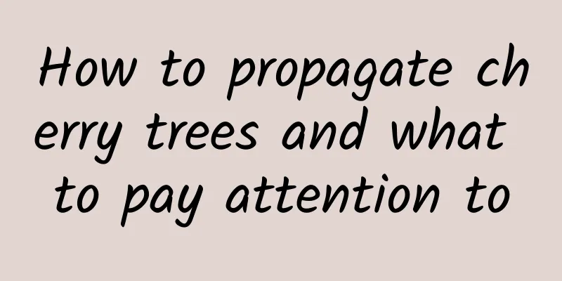 How to propagate cherry trees and what to pay attention to