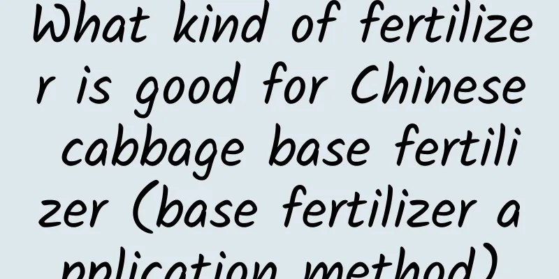 What kind of fertilizer is good for Chinese cabbage base fertilizer (base fertilizer application method)