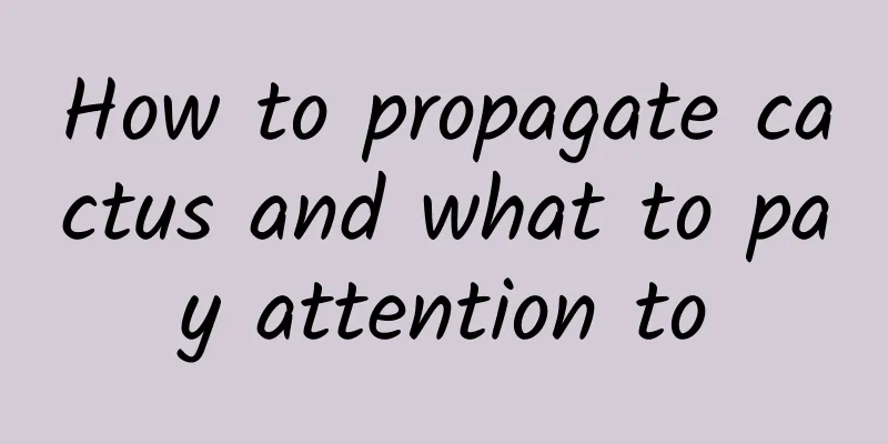 How to propagate cactus and what to pay attention to