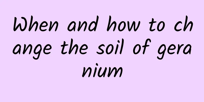 When and how to change the soil of geranium