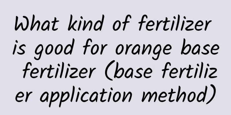 What kind of fertilizer is good for orange base fertilizer (base fertilizer application method)