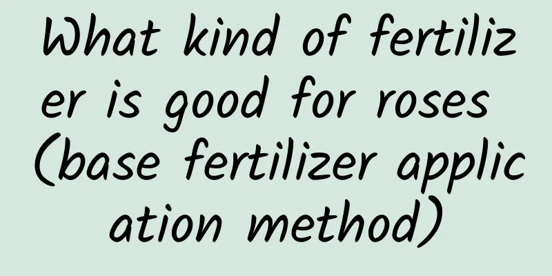 What kind of fertilizer is good for roses (base fertilizer application method)
