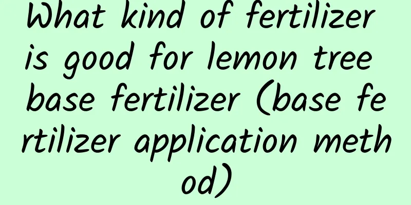 What kind of fertilizer is good for lemon tree base fertilizer (base fertilizer application method)