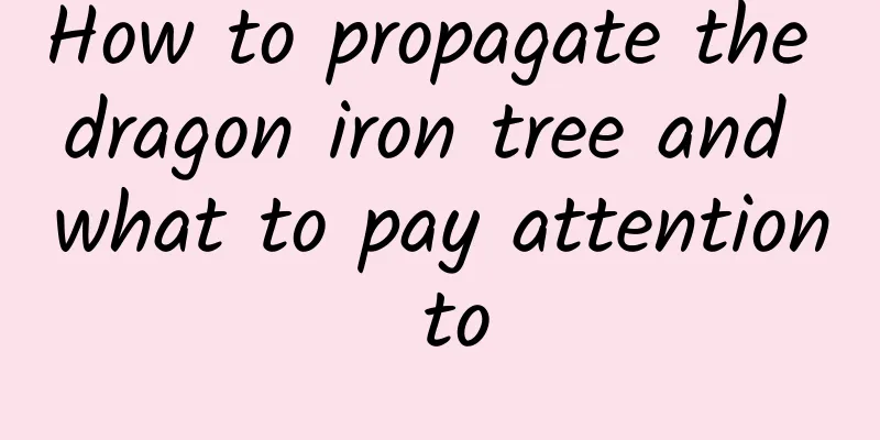 How to propagate the dragon iron tree and what to pay attention to