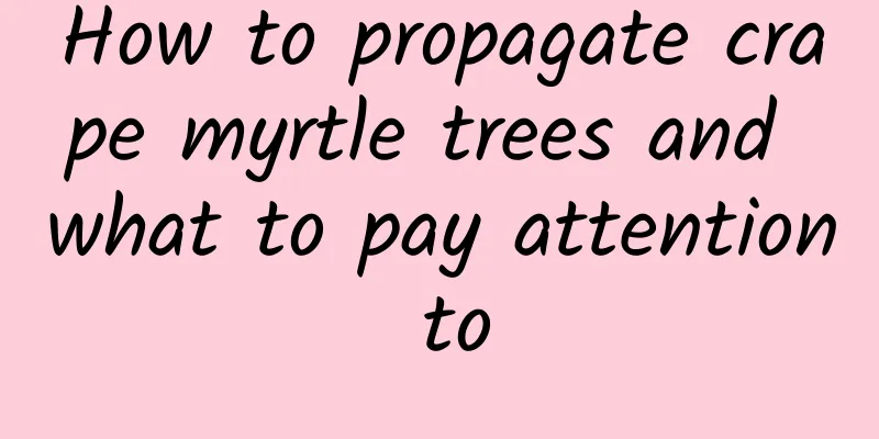 How to propagate crape myrtle trees and what to pay attention to