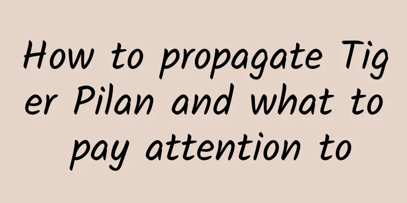 How to propagate Tiger Pilan and what to pay attention to