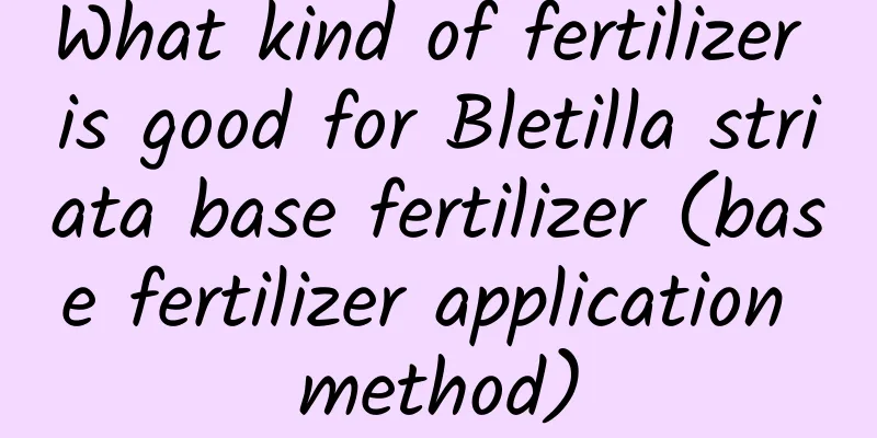 What kind of fertilizer is good for Bletilla striata base fertilizer (base fertilizer application method)