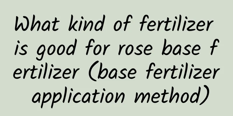 What kind of fertilizer is good for rose base fertilizer (base fertilizer application method)