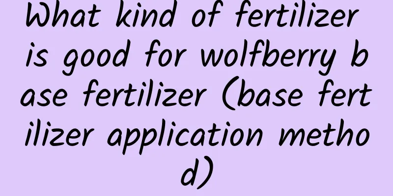 What kind of fertilizer is good for wolfberry base fertilizer (base fertilizer application method)