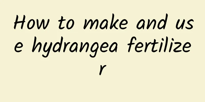 How to make and use hydrangea fertilizer